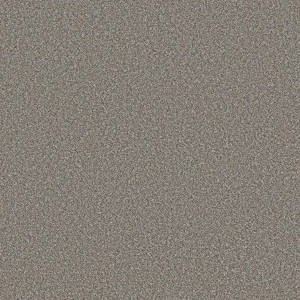 Shaw Floors - Carpet - Simply The Best  - TRUSOLUTIONS III - Tree Bark