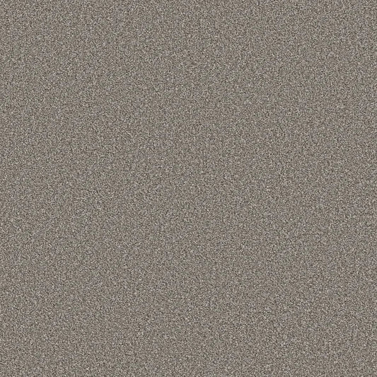 Shaw Floors - Carpet - Simply The Best  - TRUSOLUTIONS III - Tree Bark
