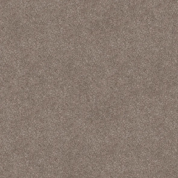 Shaw Floors - Carpet - Simply The Best  - TRUSOLUTIONS III - Taupe Dream
