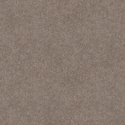 Shaw Floors - Carpet - Simply The Best  - TRUSOLUTIONS III - Taupe Dream