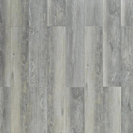 Toucan - SPC 400 Series - TF SPC 401