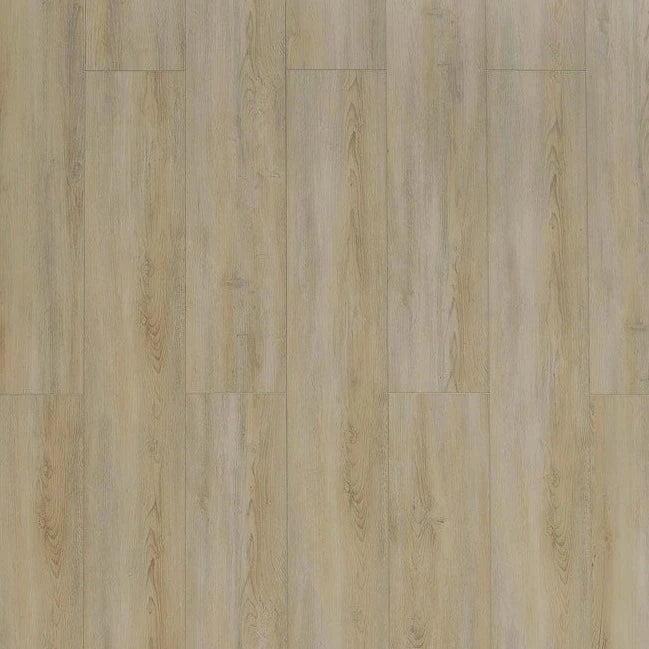 Toucan - SPC 400 Series - TF SPC 403