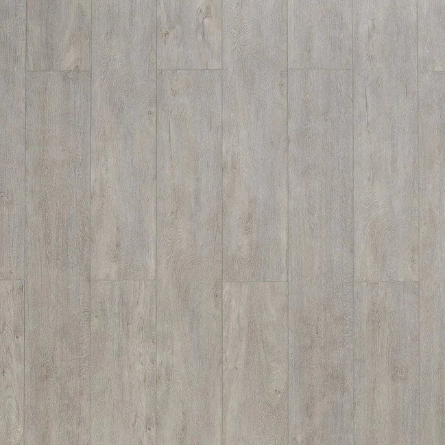 Toucan - SPC 400 Series - TF SPC 404