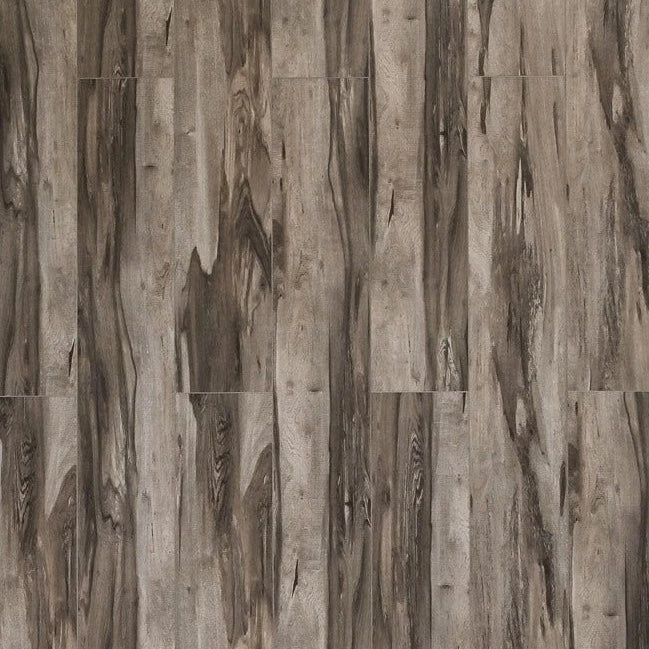 Toucan - SPC 400 Series - TF SPC 407