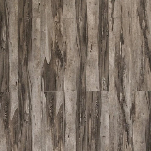 Toucan - SPC 400 Series - TF SPC 407