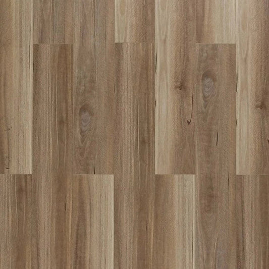 Toucan - SPC 400 Series - TF SPC 409