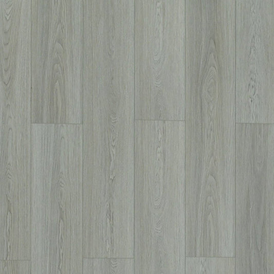 Toucan - TFSPC - 606-F - Venice