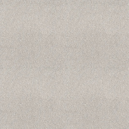 Shaw Floors - Carpet - COMFORTING I - Thin Ice