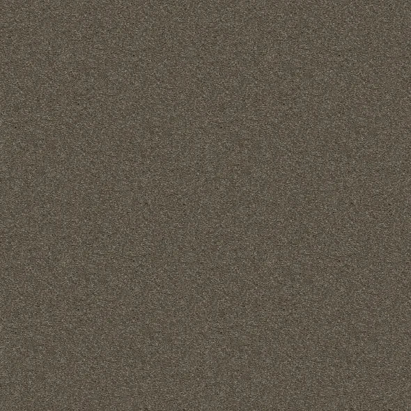 Shaw Floors - Carpet - Simply The Best  - Attainable - Urban Loft