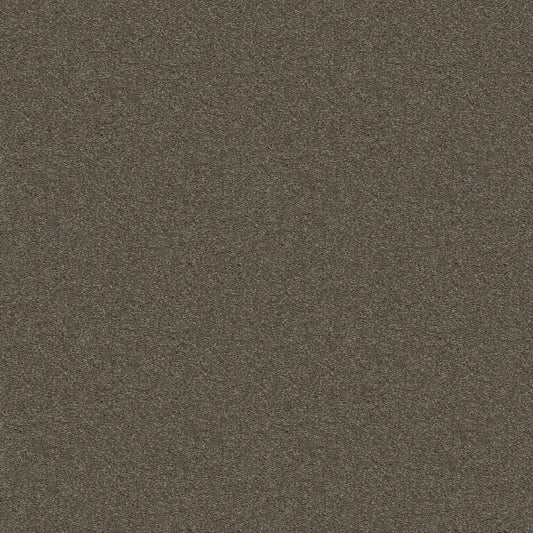 Shaw Floors - Carpet - Simply The Best  - Attainable - Urban Loft