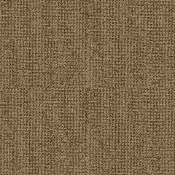 Shaw Floors - Carpet- Foundations Collection - Warmth