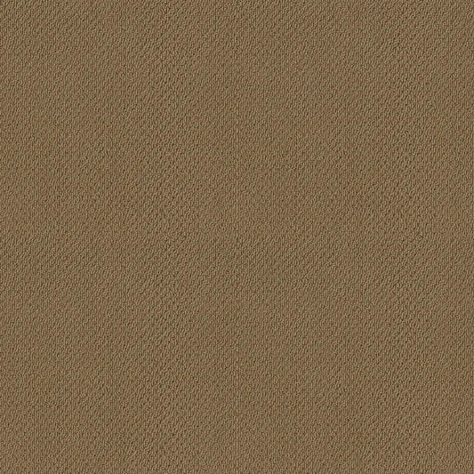 Shaw Floors - Carpet- Foundations Collection - Warmth