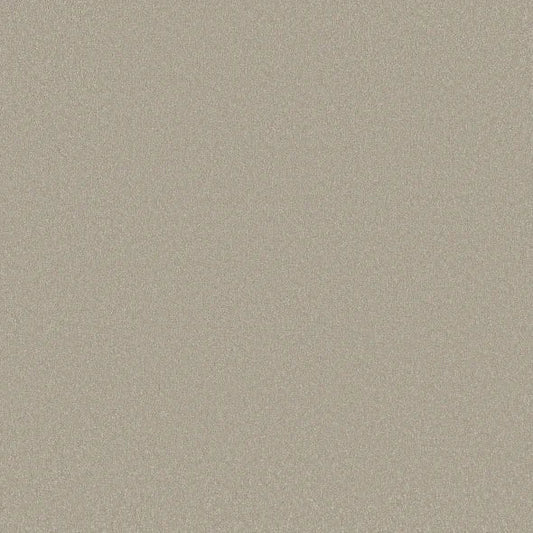 Shaw Floors - Carpet - Classics Collection  - Awaken Spirit I 12' - Whiskers