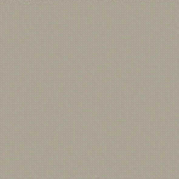 Shaw Floors - Carpet - Classics Collection  - Awaken Spirit II - 15' - Whiskers