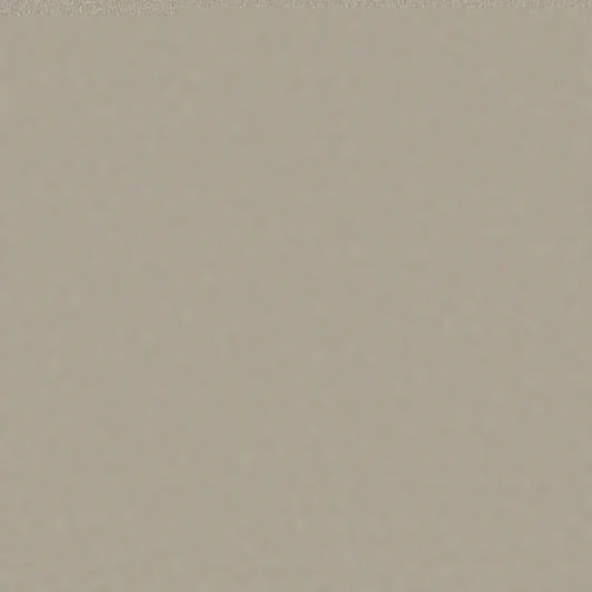 Shaw Floors - Carpet - Classics Collection  - Awaken Spirit II - 15' - Whiskers