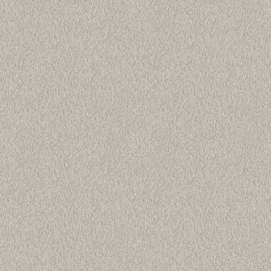 Shaw Floors - Carpet - Foundations Collection  - Alluring Canvas - Winters Dawn
