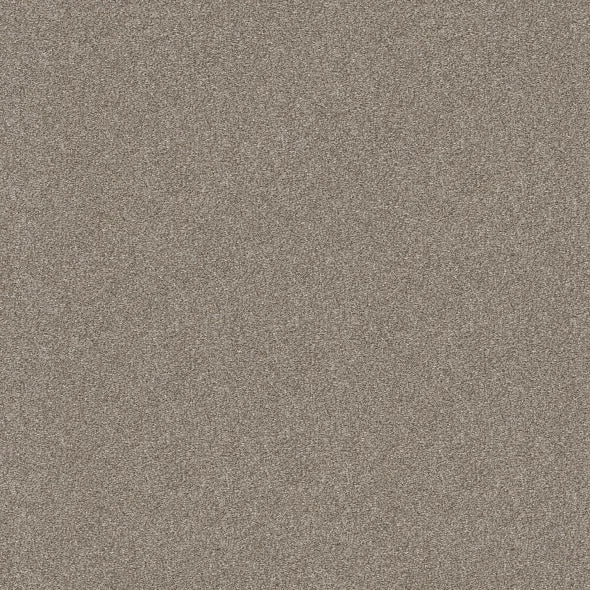 Shaw Floors - Carpet - Simply The Best  - Attainable - Winter Dunes