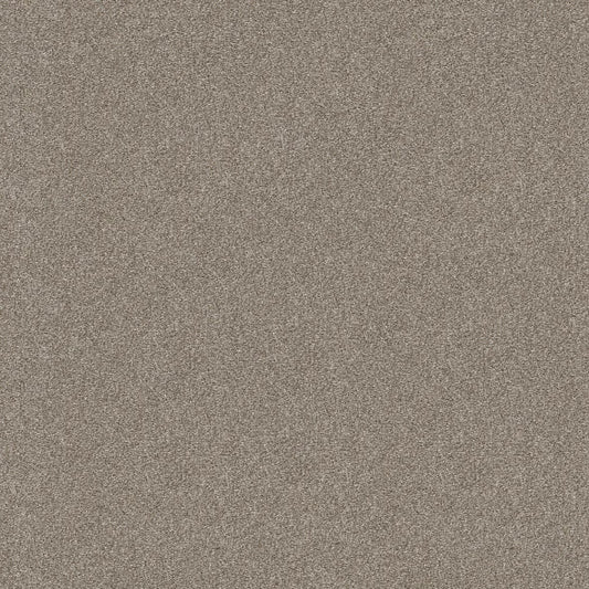 Shaw Floors - Carpet - Simply The Best  - Attainable - Winter Dunes