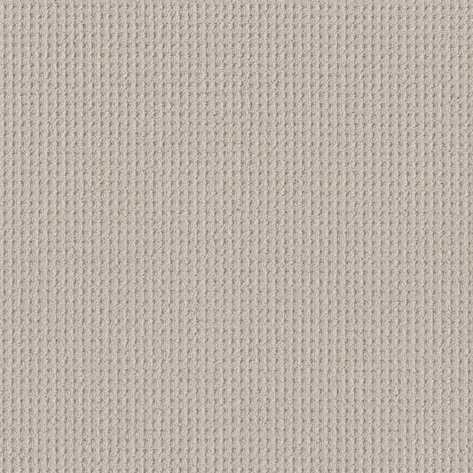 Shaw Floors - Carpet - Foundations Collection - Faint Intent - Winters Dawn