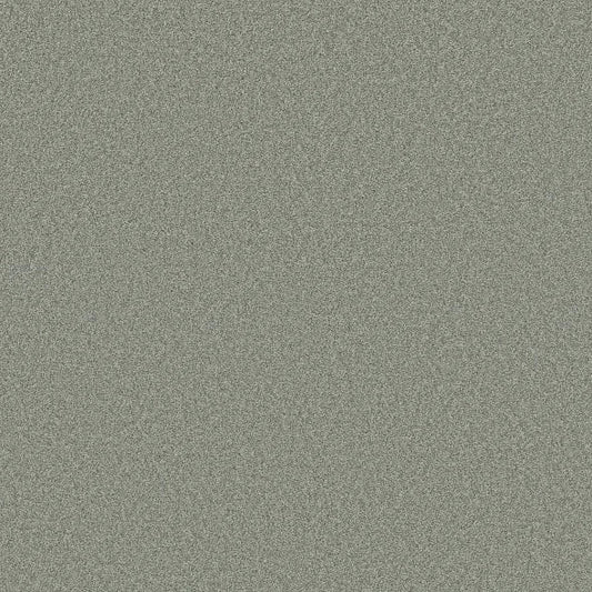 Shaw Floors - Carpet- Foundations Collection - HARMONIOUS II - Water's Edge