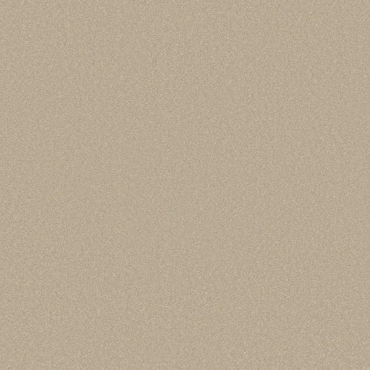 Shaw Floors - Carpet - Classics Collection  - Awaken Spirit I 12' - Windfresh