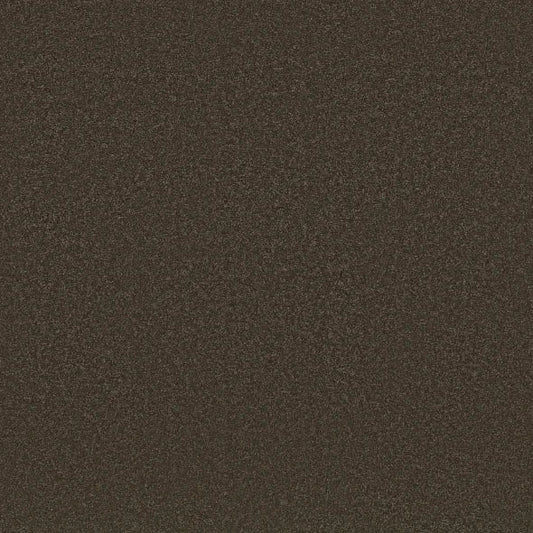 Shaw Floors - Carpet - Classics Collection  - Awaken Spirit II - 15' - Wood Grain