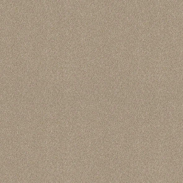 Shaw Floors - Carpet - COMFORTING II - Wild Rice