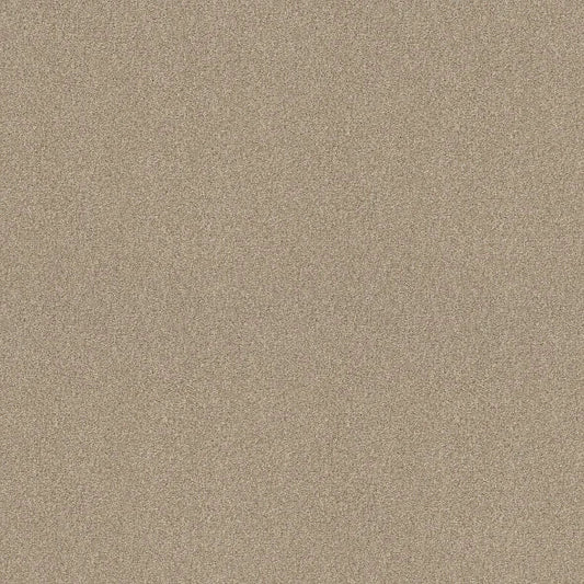 Shaw Floors - Carpet - COMFORTING II - Wild Rice