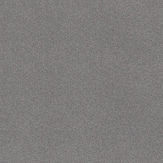 Shaw Floors - Carpet - COMFORTING I - Wet Rock