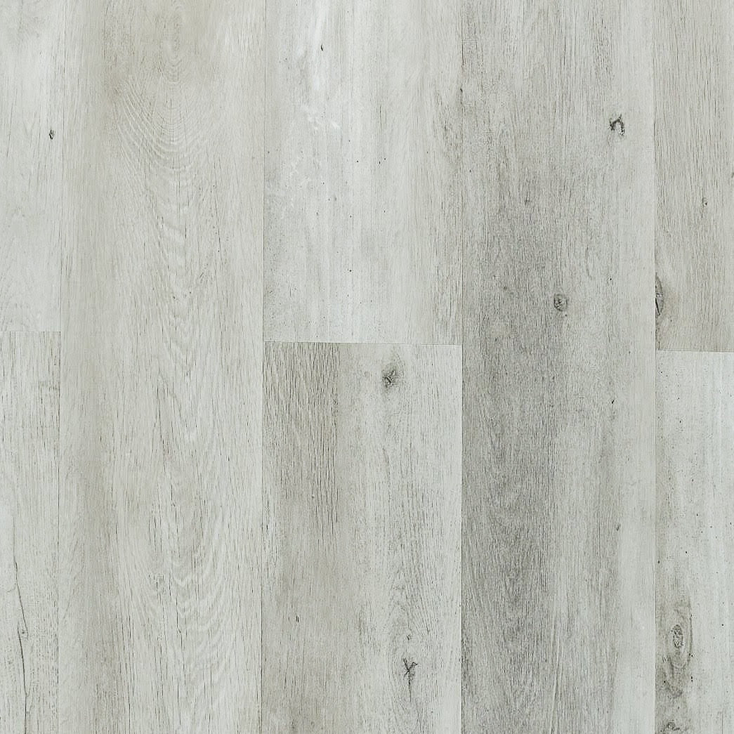 TURION - Aventis Collection - Warren