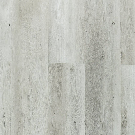 TURION - Aventis Collection - Warren