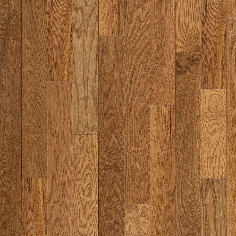 Wickham - Domestic Collection - Canadian Plus Grade - 3 1/4" - White Oak - Wheat