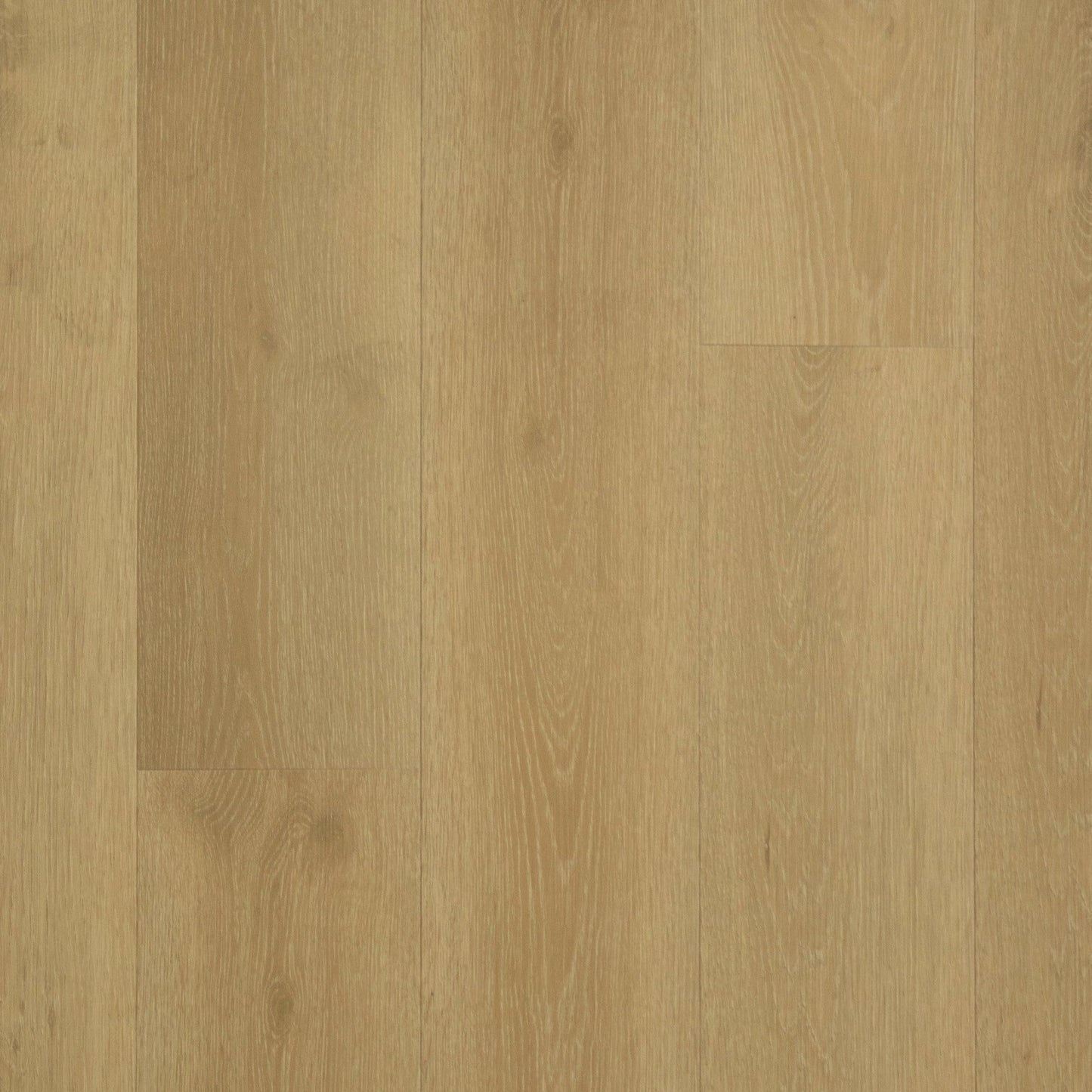 Grandeur Flooring - Anchor 7 Collection - Windpoint