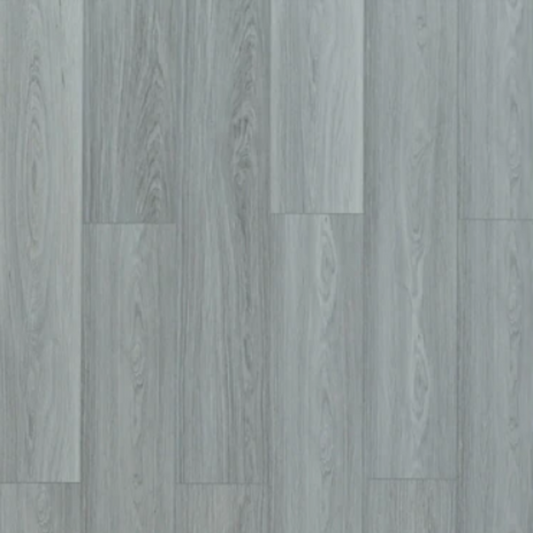 Toucan - TFSPC - 605-F -  Amsterdam