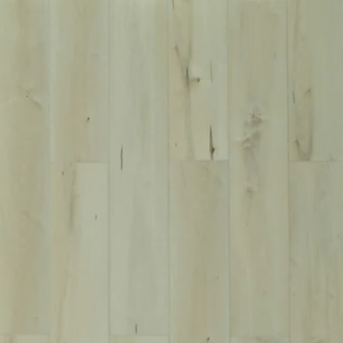 Toucan - TFSPC - 612-F - Belgrade