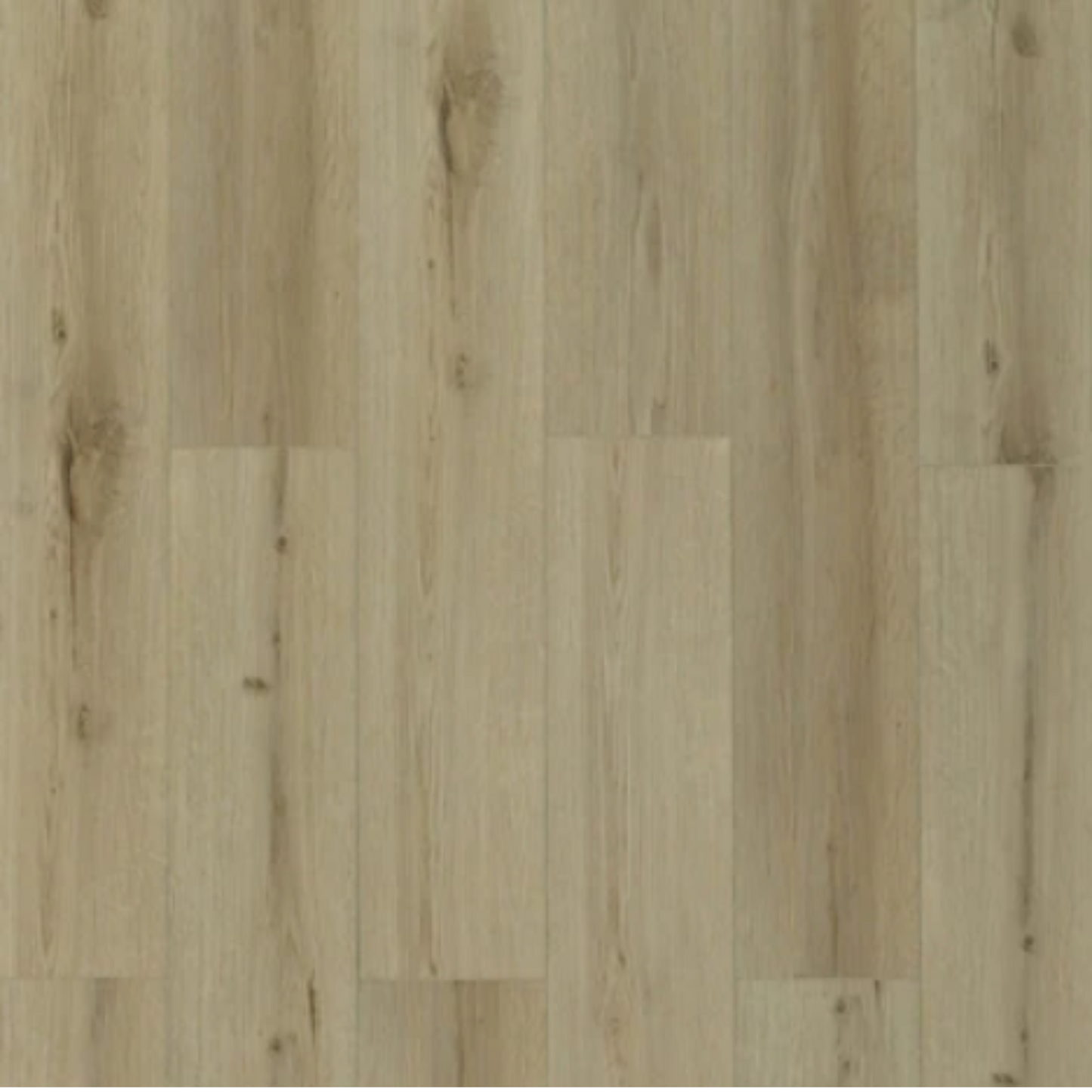 Toucan - TFL627 - Honey Birch