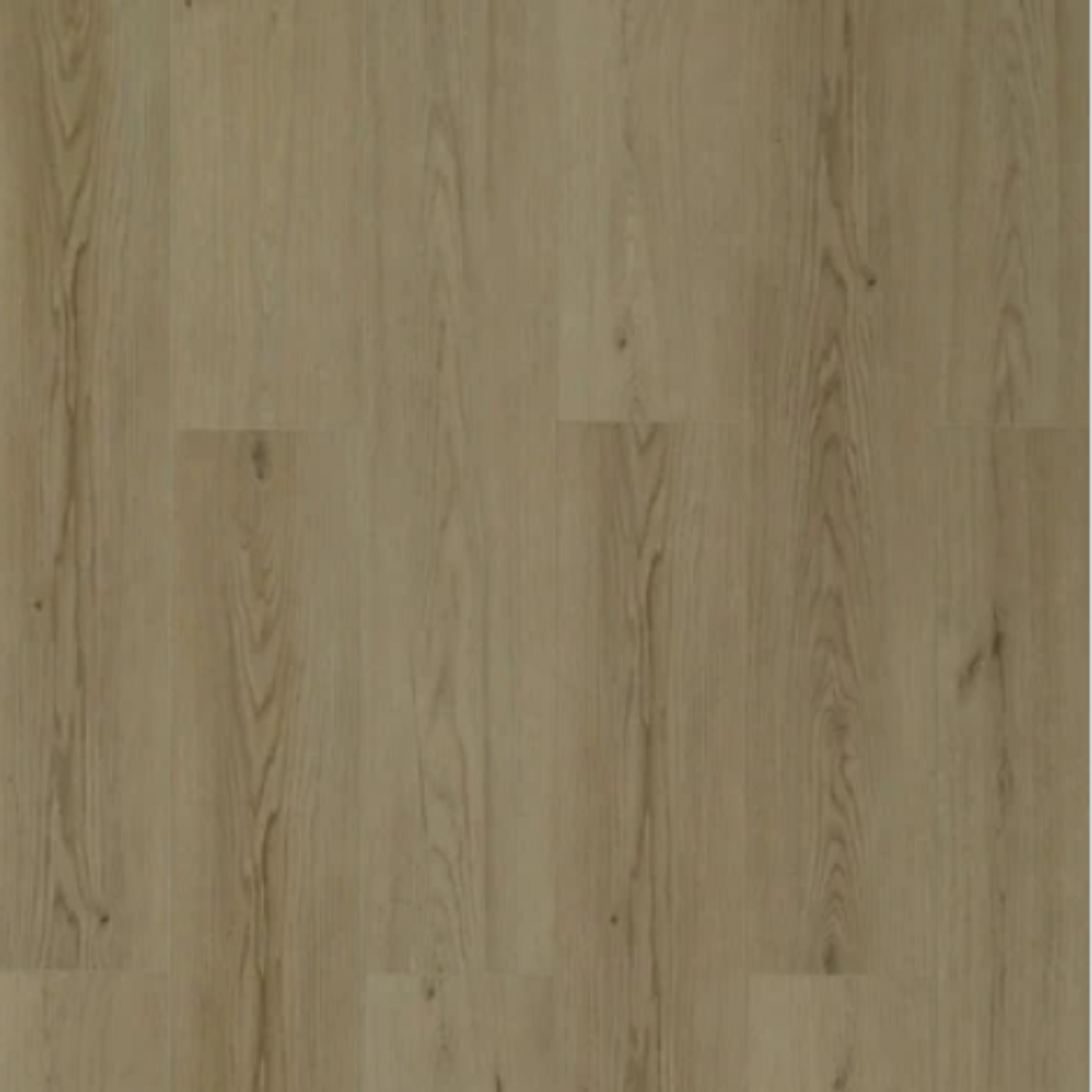 Toucan - TFSPC - 608-F - Istanbul