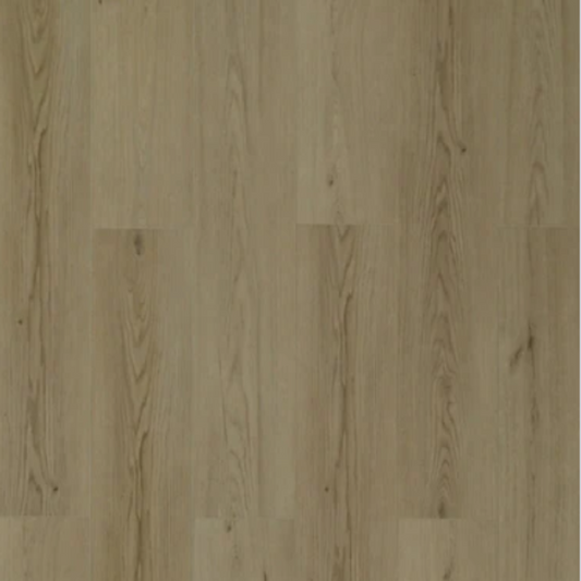 Toucan - TFSPC - 608-F - Istanbul