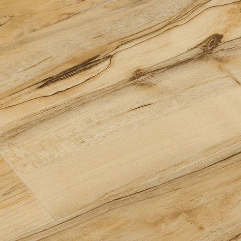 The Montreal Collection - Haven