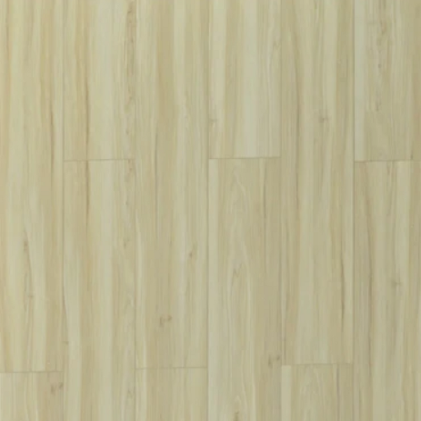 Toucan - TFSPC - 611-F - Vienna